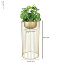 Gold Iron Flower Rack Indoor Vertical Plant Stand, Living Room Balcony, Elegant Flowerpot Holder, Modern Home Decor