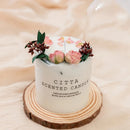 Forest Series Scented Soy Candle with Wooden Holder, 4 Fragrances, Aromatherapy Candles for Home Meditation Decoration, 285g