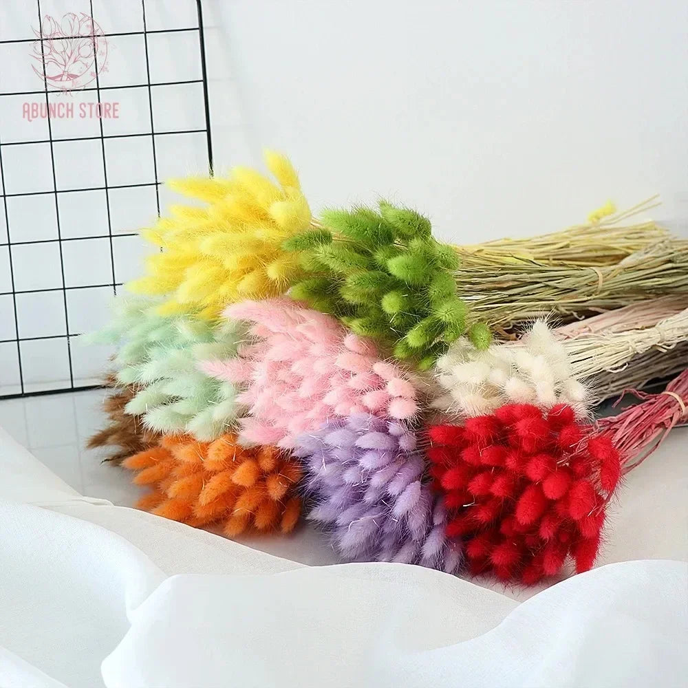 bouquet de fleurs séchées queue de lapin pour décorations festives - vue 5 sur 23