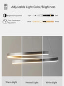 lustre à anneau simple moderne en fer doré avec éclairage LED intérieur
