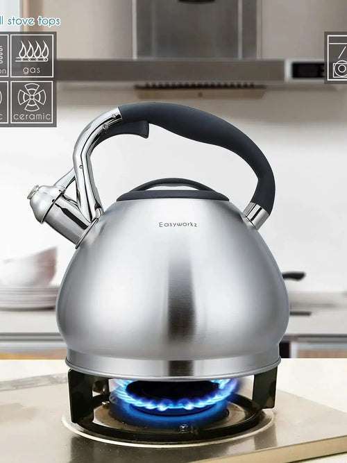 Bouilloire sifflet acier inoxydable grande capacité 3l