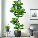 Artificial ficus branches with natural touch for indoor decor