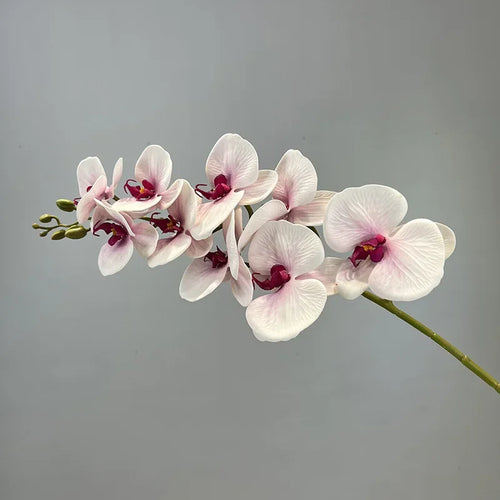 fleurs artificielles orchidée papillon en coton et silicone décoratives