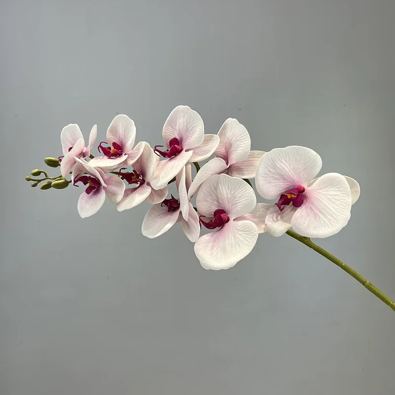 fleurs artificielles orchidée papillon en coton et silicone décoratives - vue 10 sur 12