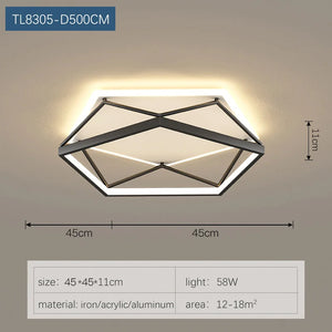 Modern black iron pendant light with remote control lighting