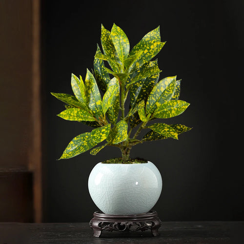 Realistic artificial ficus tree for indoor and outdoor decoration - vue 3 sur 9