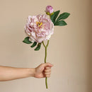 Artificial silk peony plant for interior decoration realistic flowers