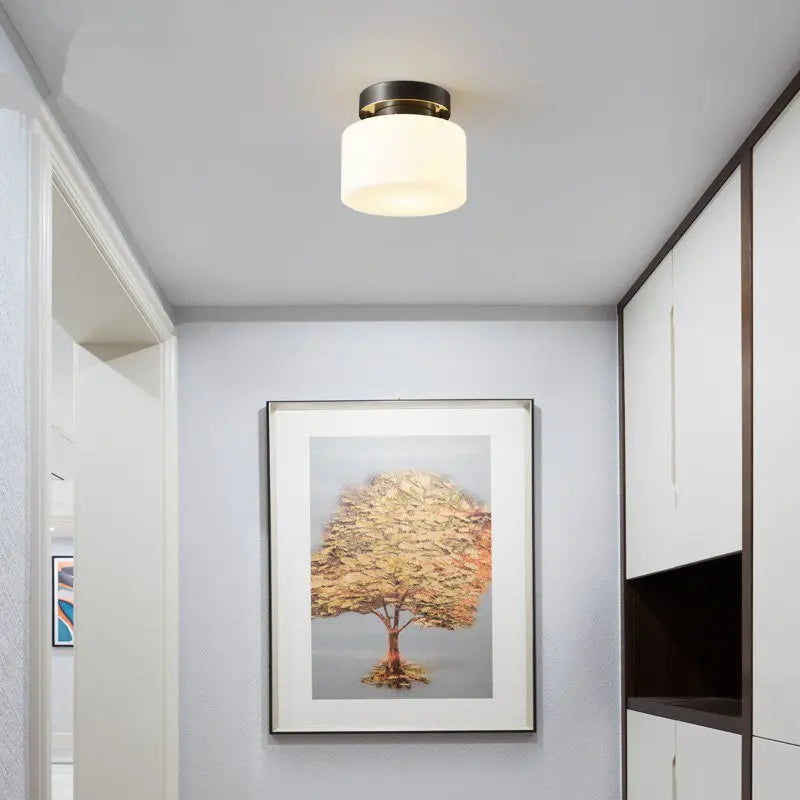 plafonnier design moderne pour intérieur élégant et fonctionnel - vue 5 sur 6