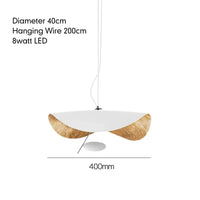 Modern minimalist LED pendant light with artistic design