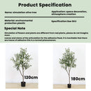 Realistic Artificial Olive Tree, Lifelike Faux Olive Plant for Home, Office, Garden Décor