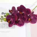 Realistic artificial phalaenopsis flowers for various decorations