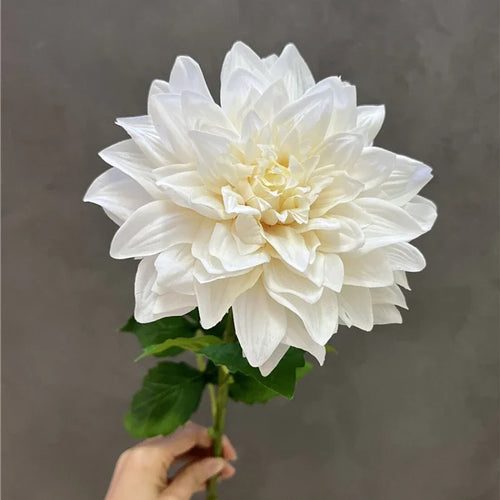 Set of 2 realistic artificial dahlia flowers for indoor decoration