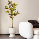 grand arbre artificiel tropical en caoutchouc pour décoration intérieur extérieur