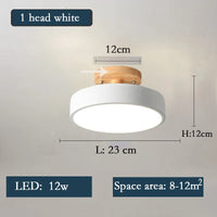 Nordic minimalist wooden LED ceiling light for indoor lighting