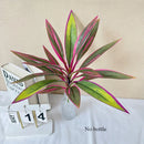 plantes vertes artificielles décoratives pour balcon et hôtel