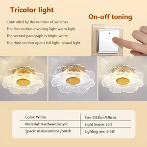 plafonnier led moderne en acrylique design pour intérieur décoratif