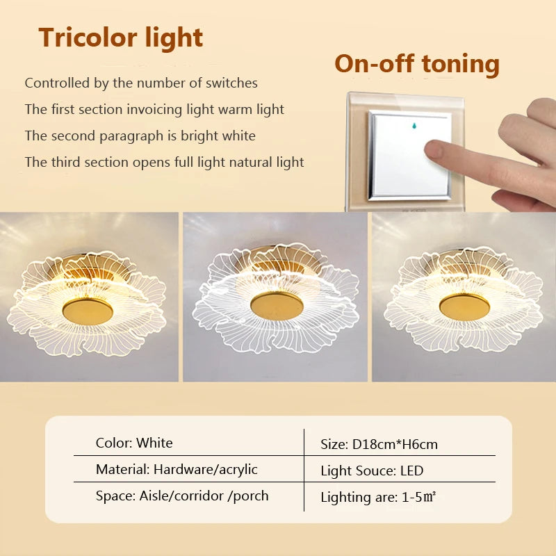 plafonnier led moderne en acrylique design pour intérieur décoratif