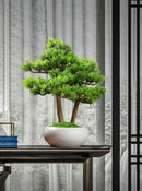 1PCS Simulated welcoming pine bonsai ornaments, pine bonsai desktop plant decorations, biomimetic small green plants