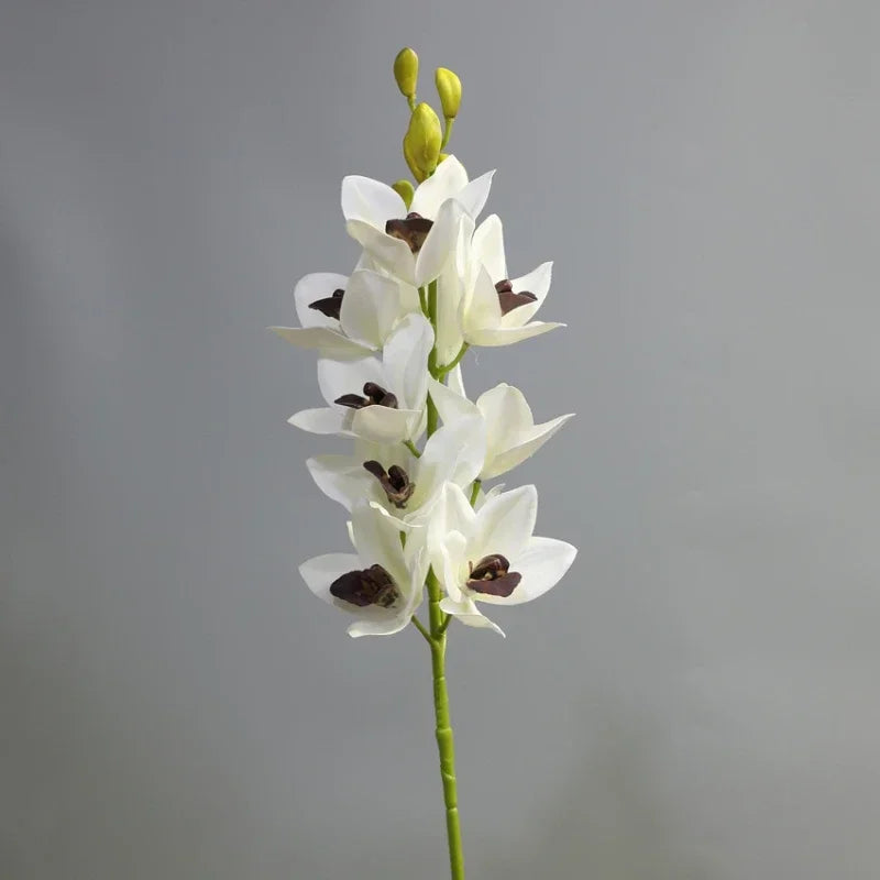 Realistic cymbidium artificial flowers from New Zealand, lifelike orchid decoration - vue 10 sur 10