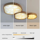 2023 New Lotus Root Ceiling Lamp for Living Room Bedroom Children's Study Kitchen Home LED Light Fixture Modern Wood Chandelier