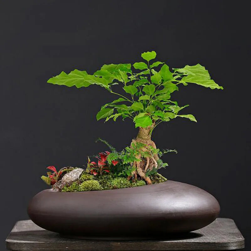 pot de fleurs en argile rétro style chinois pour décoration de jardin - vue 4 sur 7