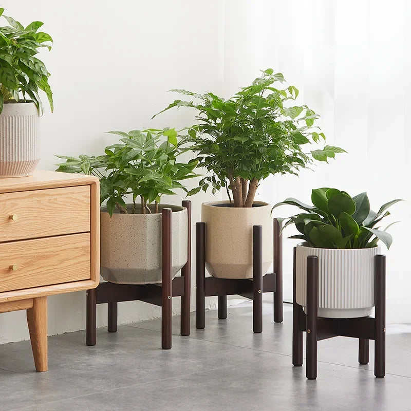 support en bois pour plantes et bonsaïs solide et durable