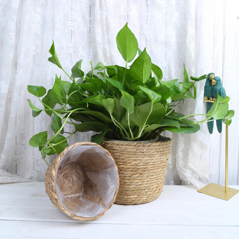 panier en paille pour plantes d'intérieur et d'extérieur - vue 4 sur 28