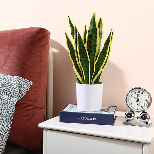 Realistic tropical artificial plants for indoor and outdoor decoration - vue 4 sur 12