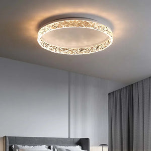 Modern LED ceiling light for interior decoration