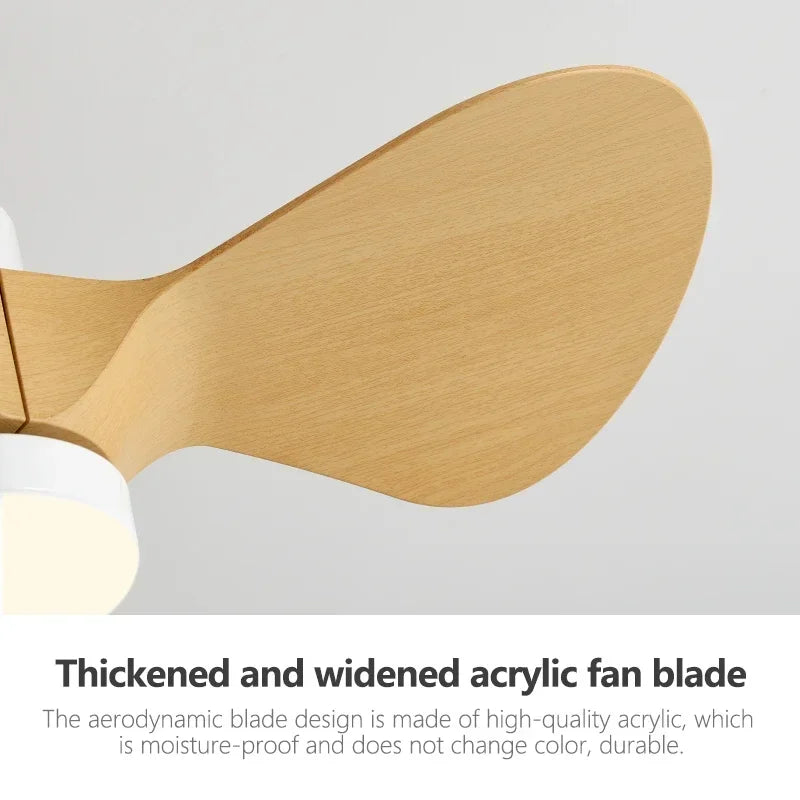 24Inch Mini Ceiling Fan Modern Simplicity Coffee Shop Creative Kid Fan Lights Aisle Balcony Children's Room Fan Lights 110V 220V - vue 6 sur 13