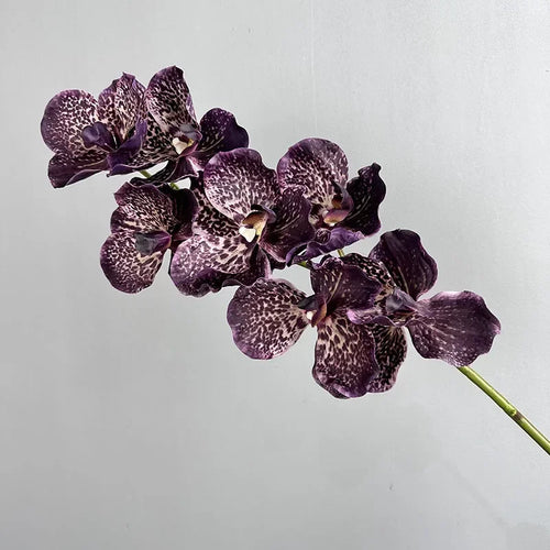 lot de 2 orchidées artificielles vanda pour décoration intérieure - vue 13 sur 12