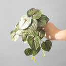 plantes artificielles monstera tropicales pour décoration intérieure et fêtes