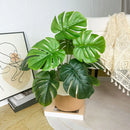 Realistic artificial monstera plant for interior decoration