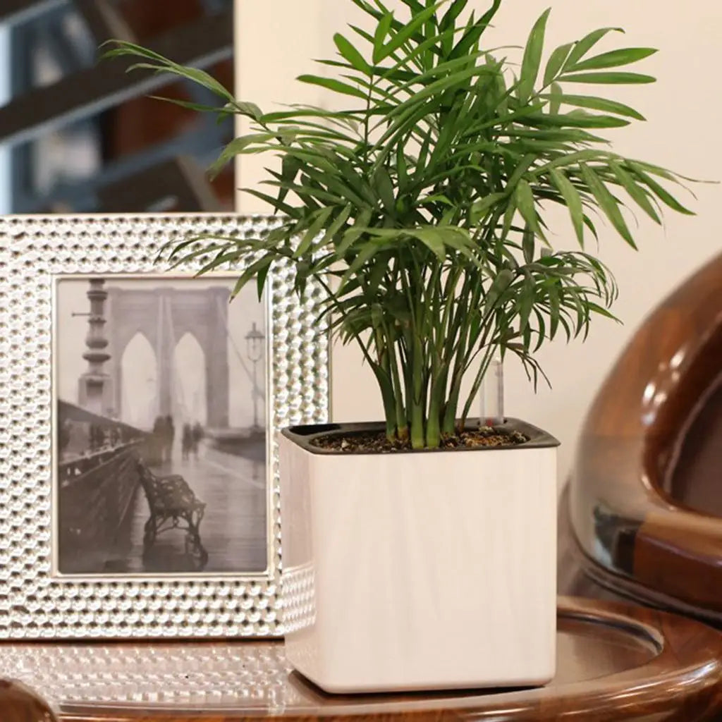 White Self Watering Planter, Water Indicator, Modern Decorative Planter Pot for all House Plants Flowers, Herbs, Vegetables - vue 3 sur 6