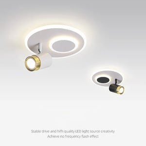 Surface mounted LED spotlight for pathway and porch