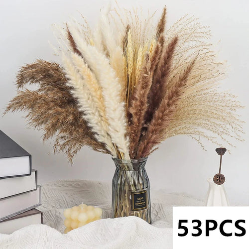 bouquet dherbe de pampa naturelle pour décoration et cadeaux