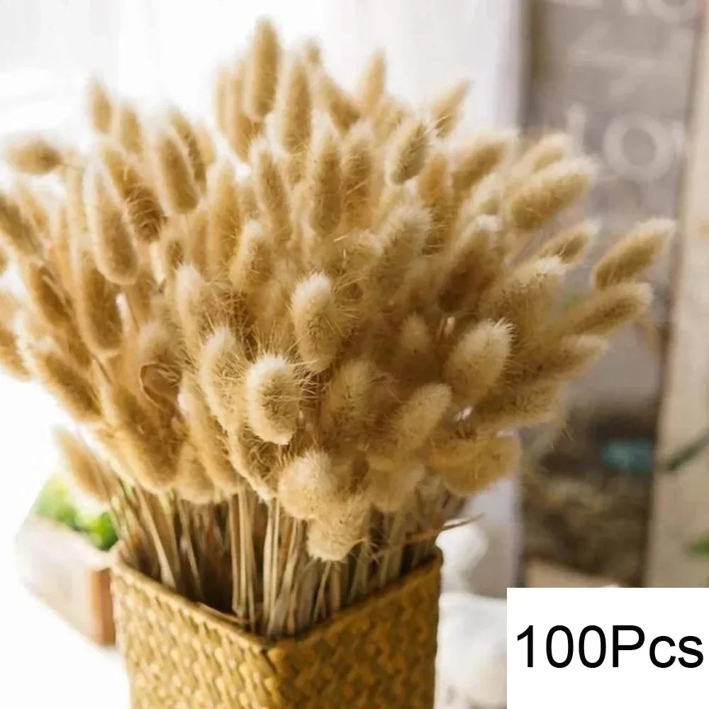 lot de 100 bouquets dherbe de pampa pour décoration bohème mariage - vue 13 sur 13