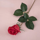 Artificial latex rose branch for realistic decoration