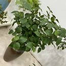 plante artificielle en tissu pour décoration intérieure moderne