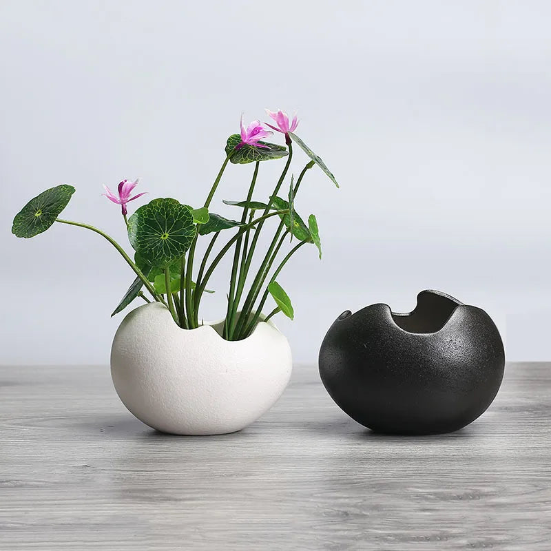 pot de fleurs hydroponique rétro en céramique pour plantes succulentes - vue 4 sur 9