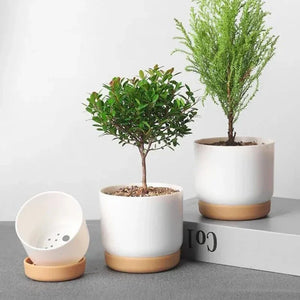 double layer round pot for succulent plants