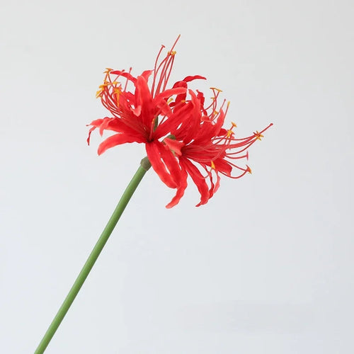 décoration en soie avec araignée lys fleurs artificielles