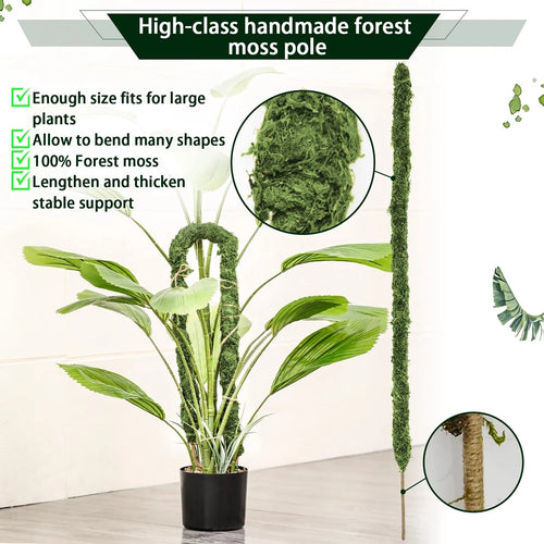 piquets pliables en mousse faits main pour plantes monstera en gros
