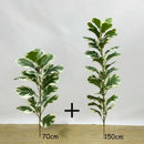 Realistic artificial ficus for indoor and outdoor decoration
