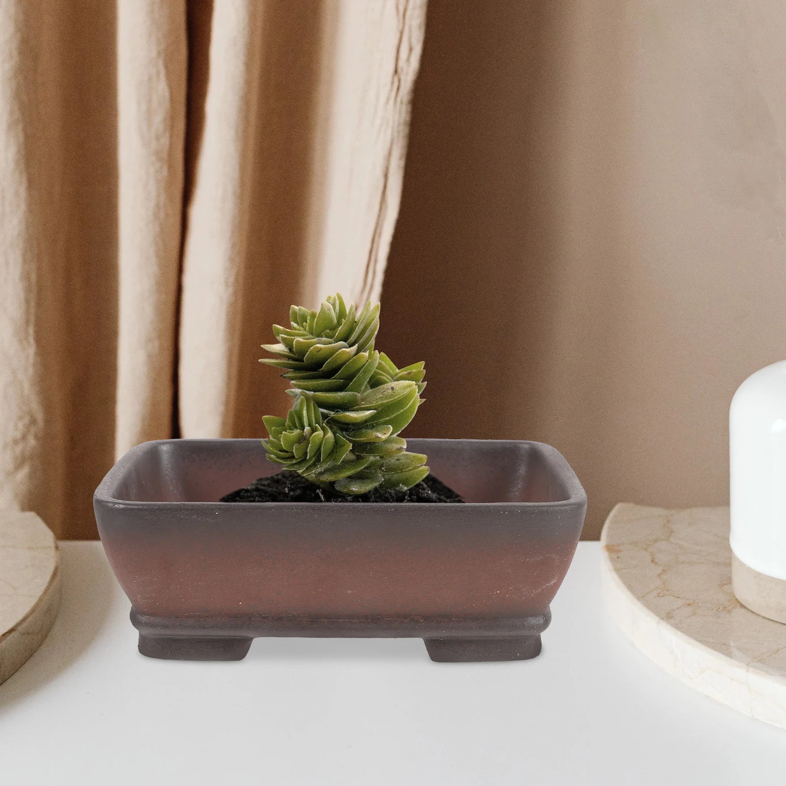 pot en céramique chinois pour plantes succulentes et bonsaï avec drainage - vue 8 sur 7