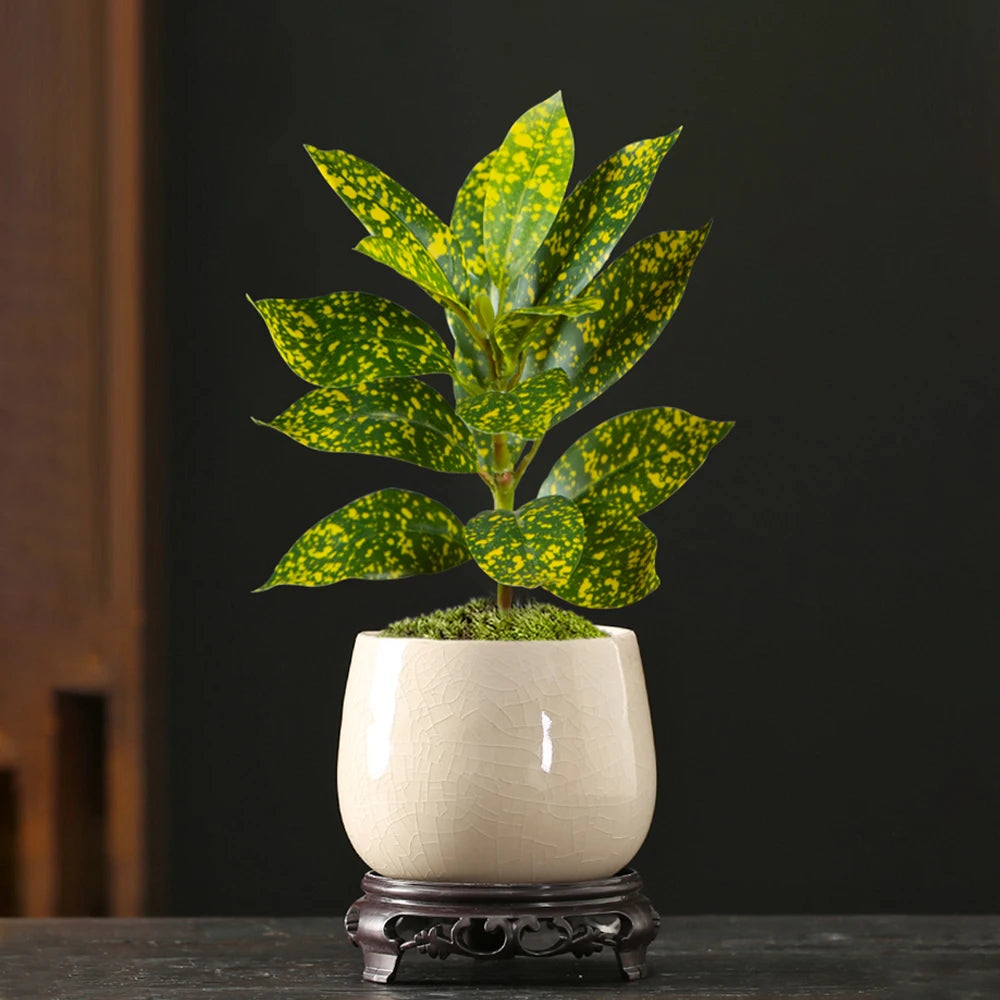 Realistic artificial ficus tree for indoor and outdoor decoration - vue 4 sur 9