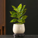 Realistic artificial ficus tree for indoor and outdoor decoration