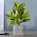 Realistic artificial ficus tree for indoor and outdoor decoration