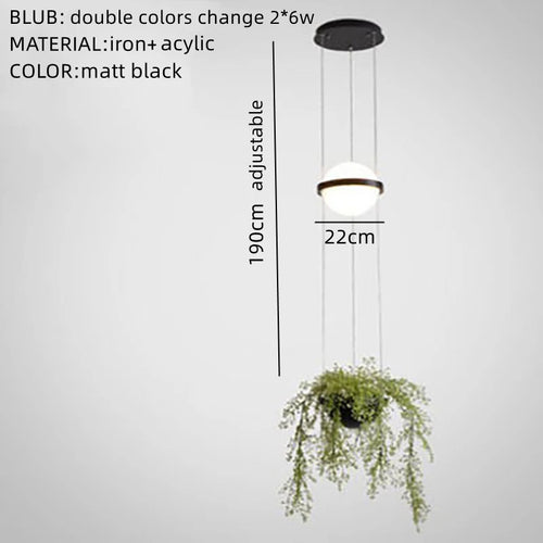 48152531042650