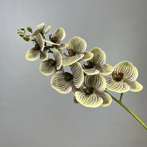 fleurs artificielles orchidée papillon en coton et silicone décoratives
